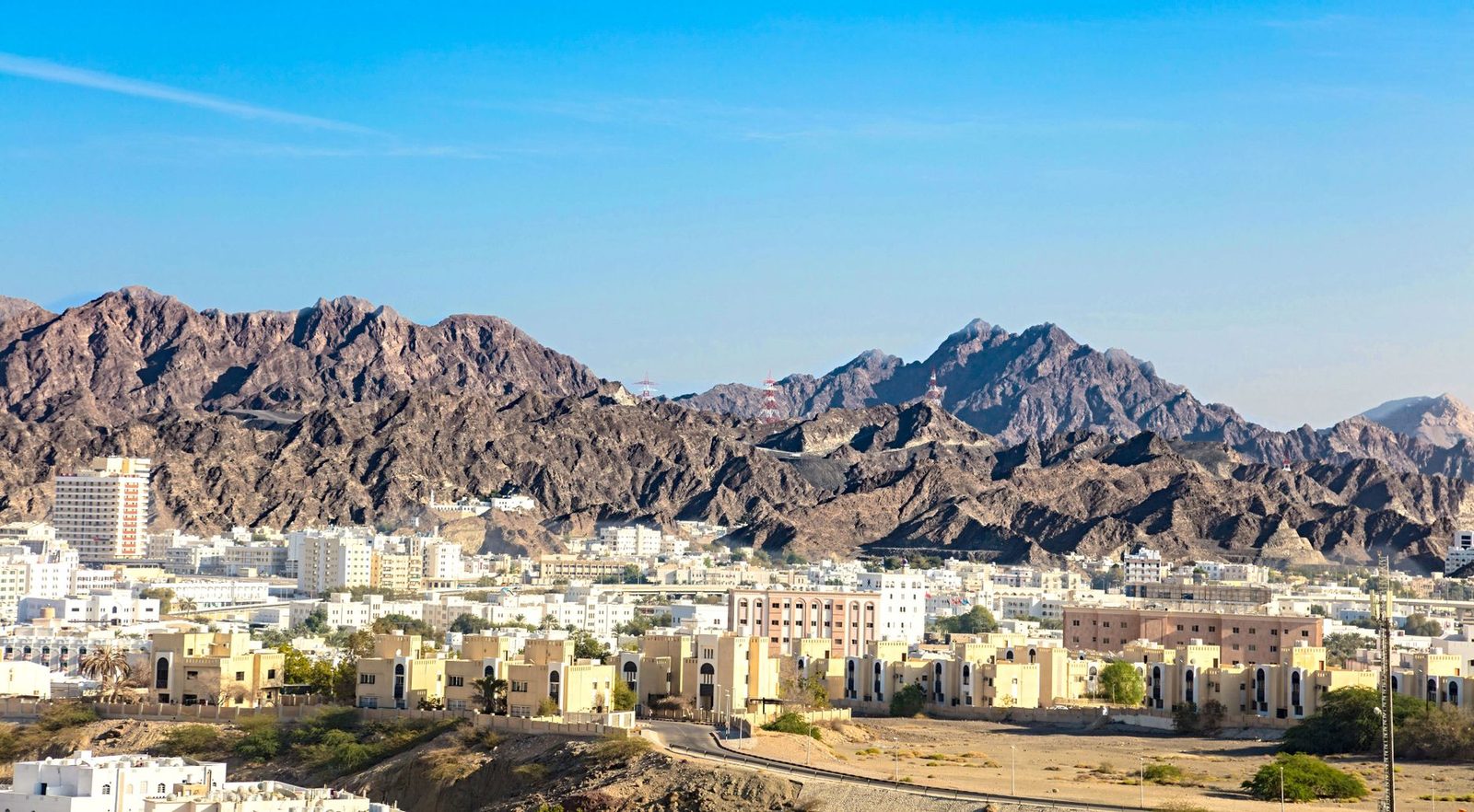 انواع شرکت تجاری در عمان