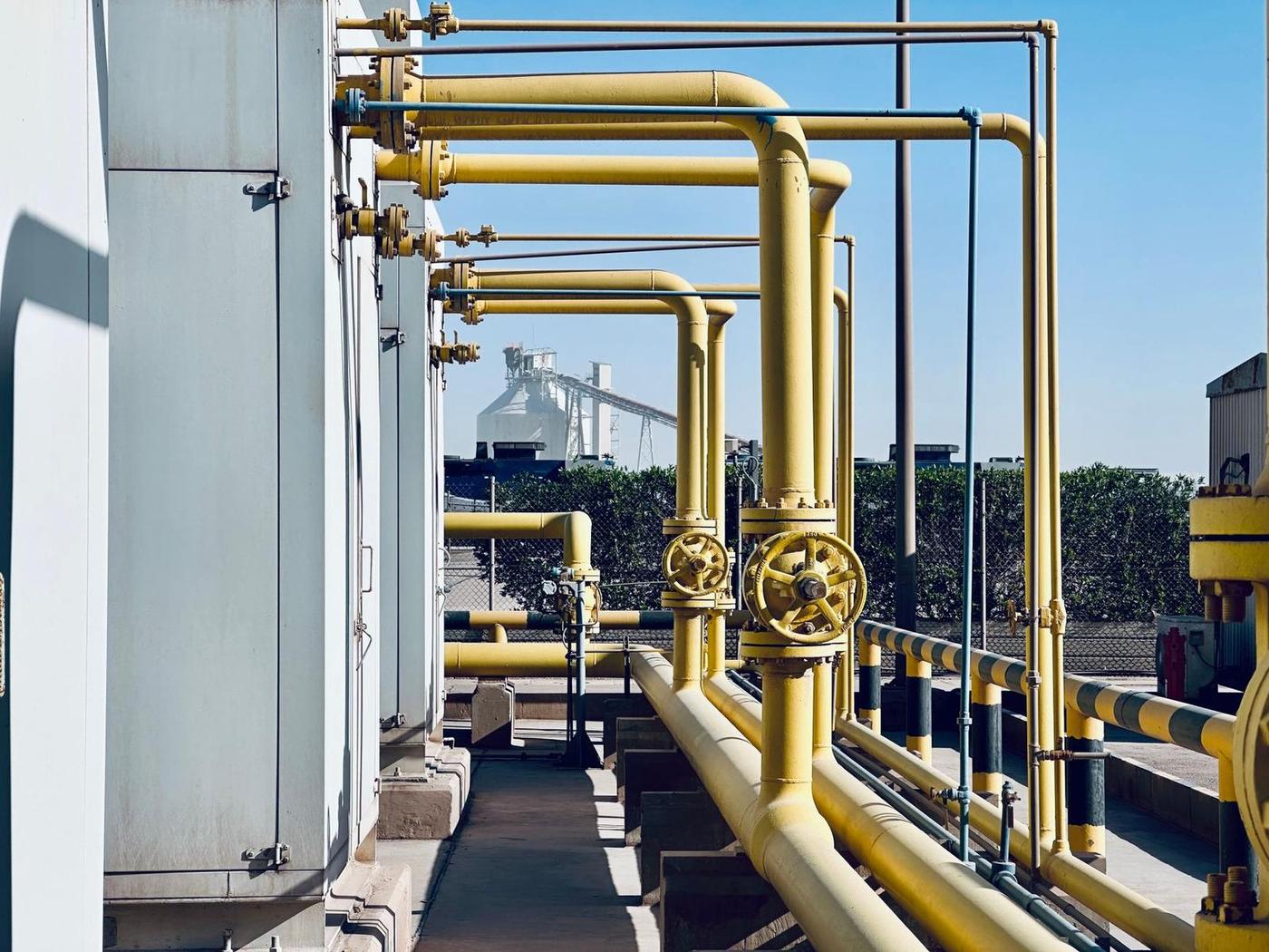 مهندس نفت در حال بررسی نقشهها در سایت کاری استرالیا