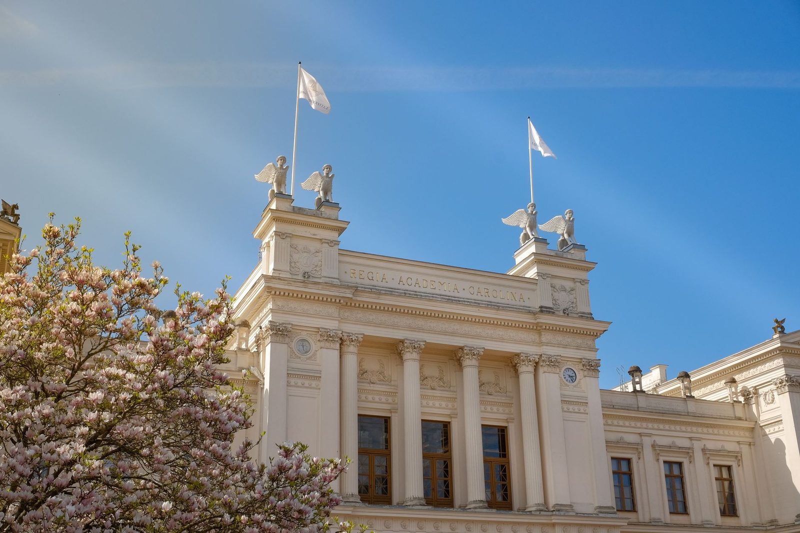 پردیس دانشگاه هلسینکی فنلاند
