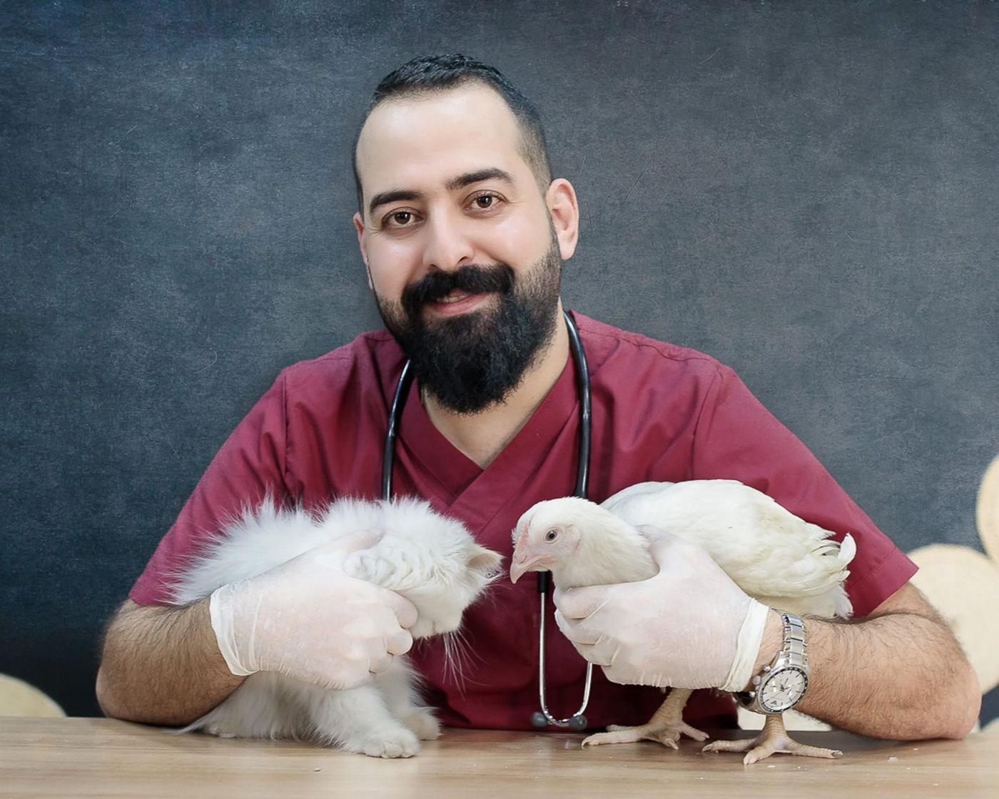 دامپزشک در حال بررسی سلامت حیوان در نروژ